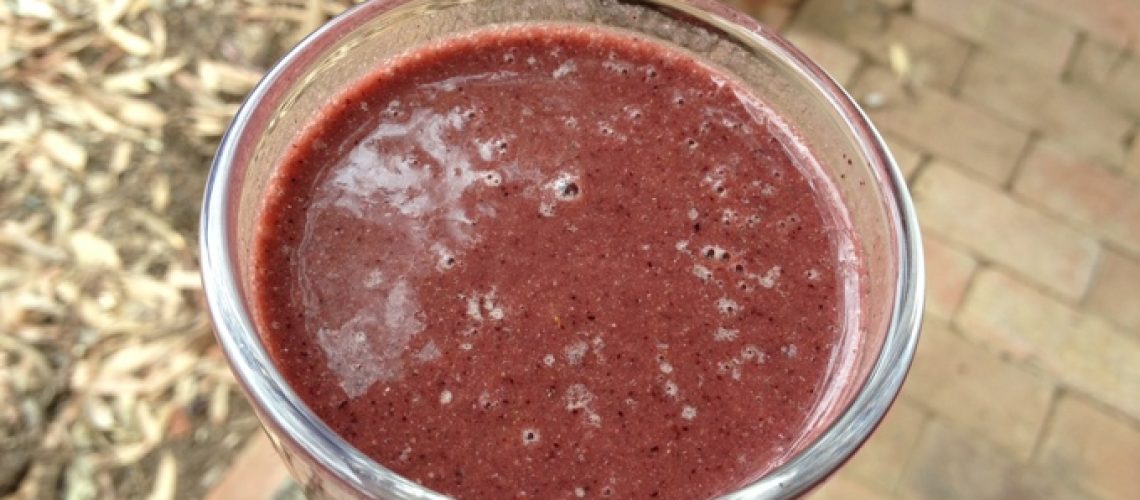 Lisa Fabry Nutrition & Yoga Therapy blueberry smoothie